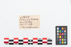 Etikett zu Bronzemehrkopfnadel (NHMW-PRAE-025644)